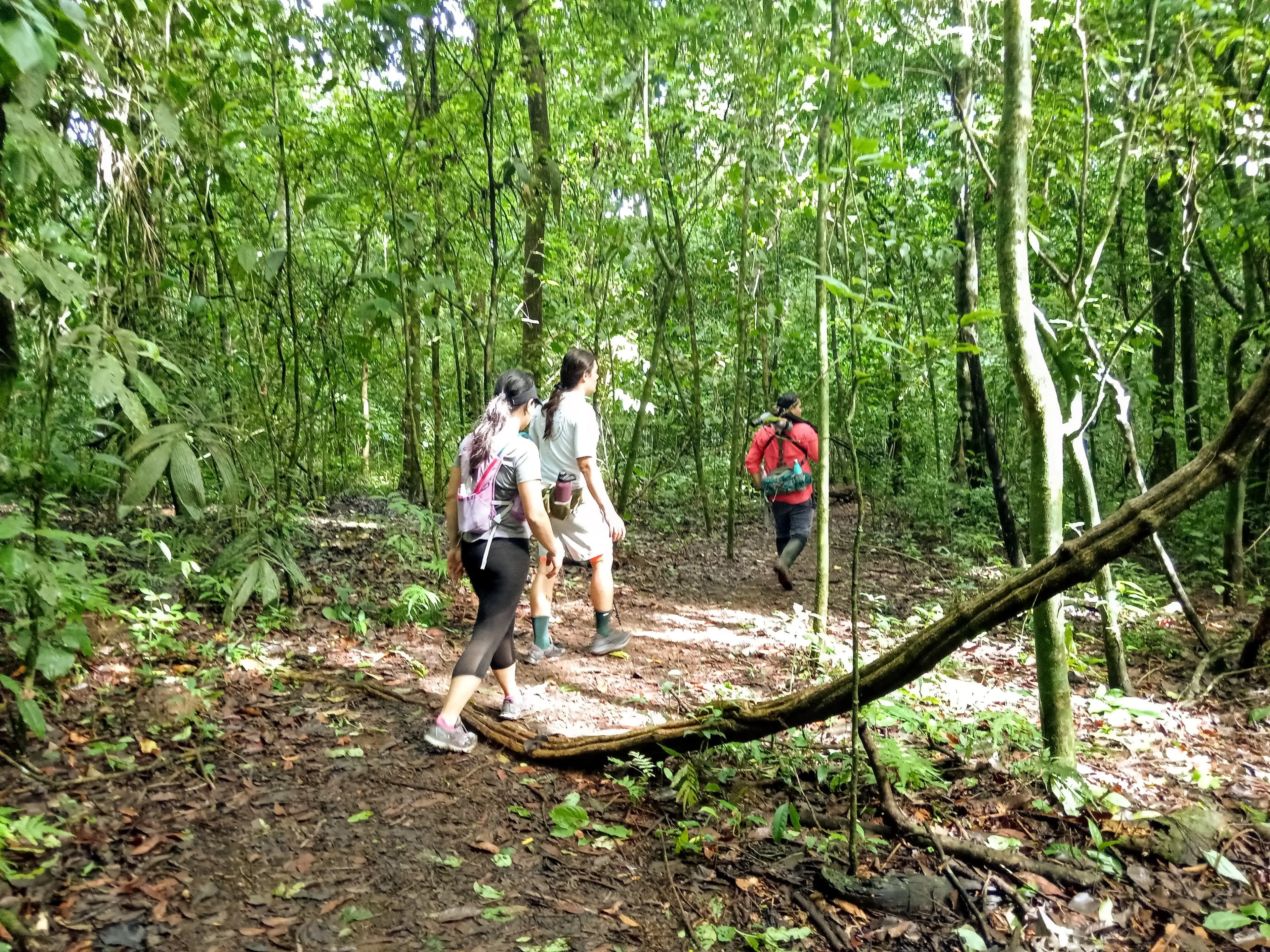 A boat arriving at the beach in Sirena.