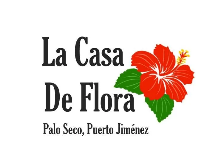 A rustic and cozy cabin nestled in the jungle.