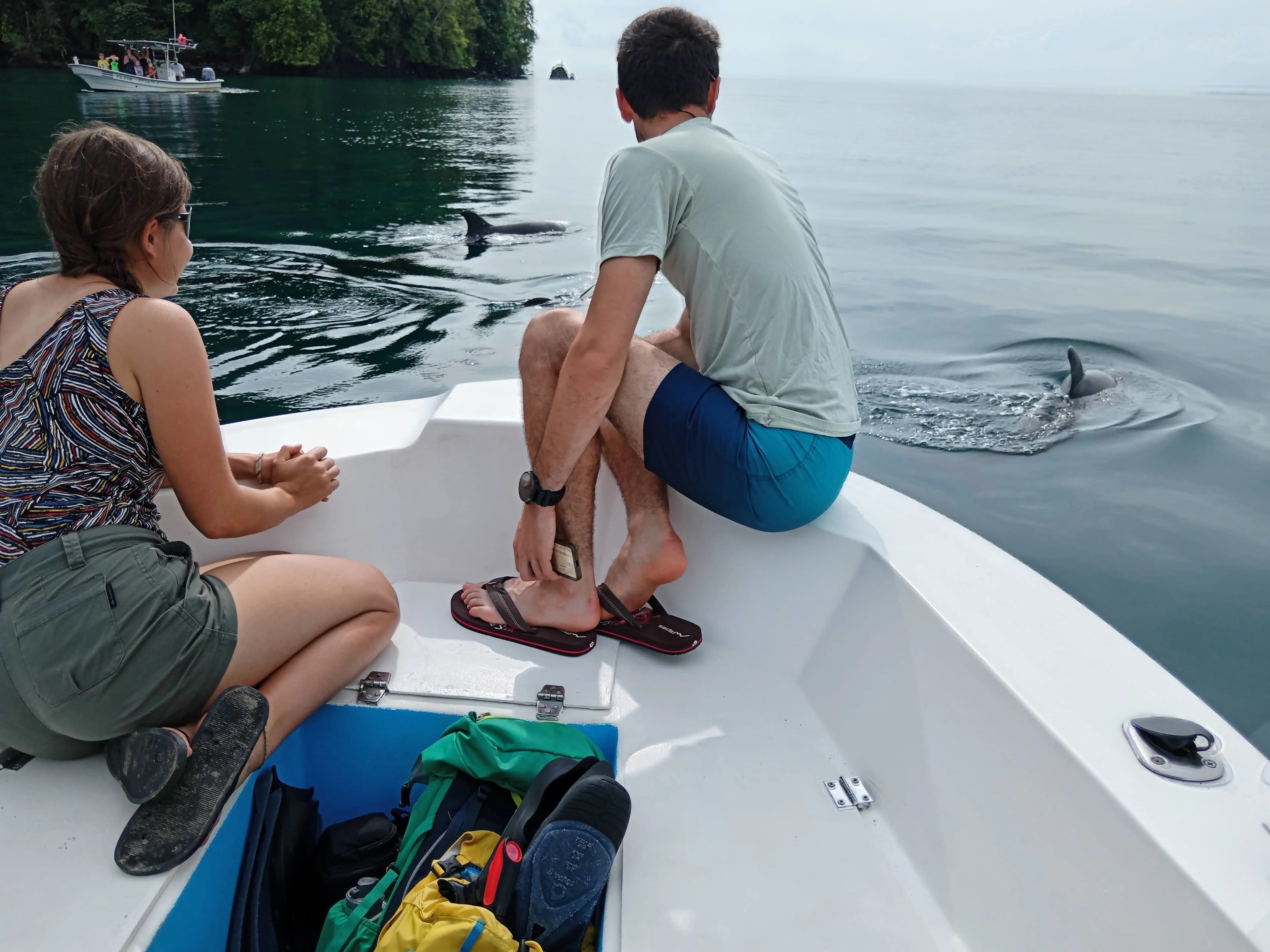 A person kayaking through a calm mangrove forest.