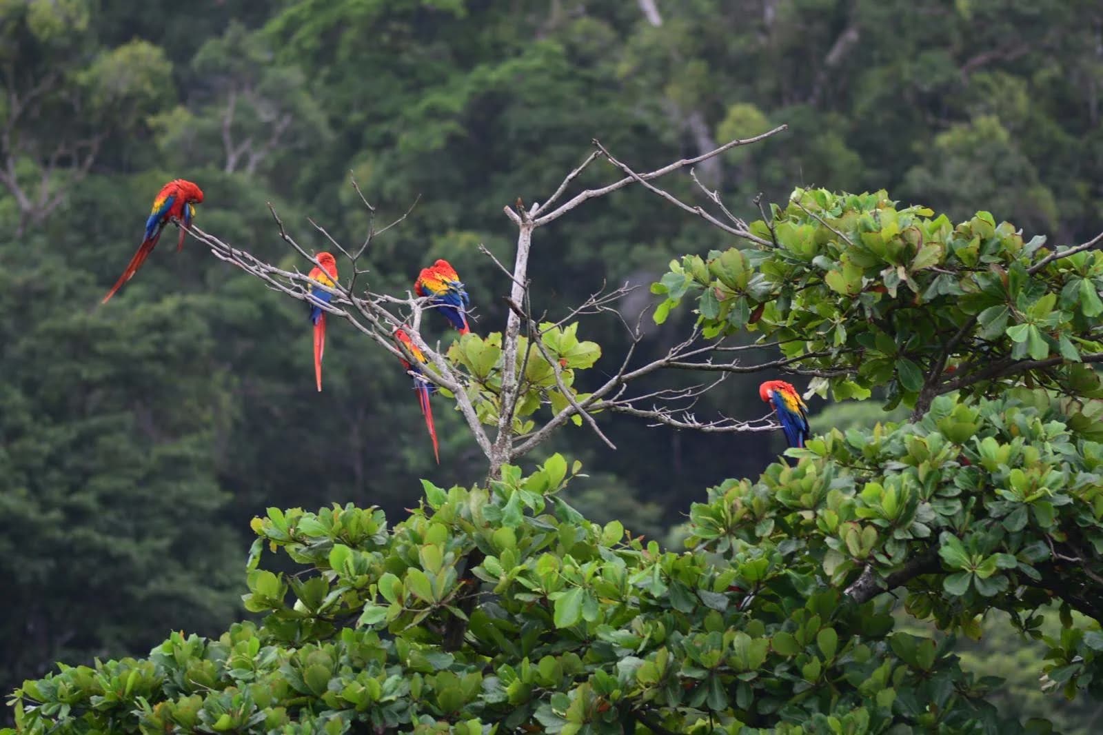 A sea turtle on the beach.