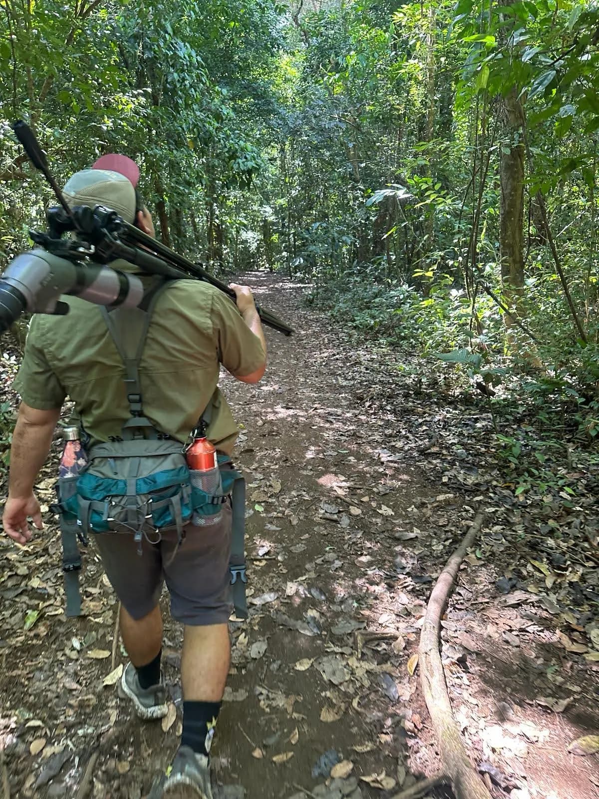 Hiker in a lush green jungle.