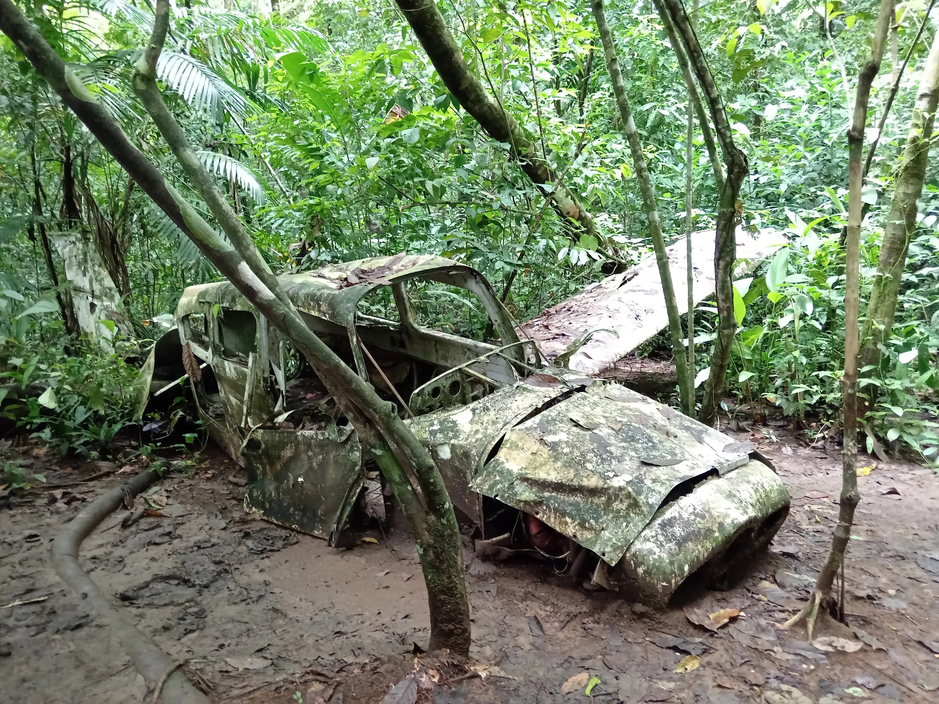 Image 2 for PJ-Sirena-La Leona tour.